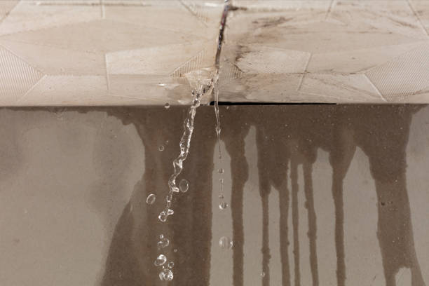 Professional Structural Drying technician working in New Paris, OH